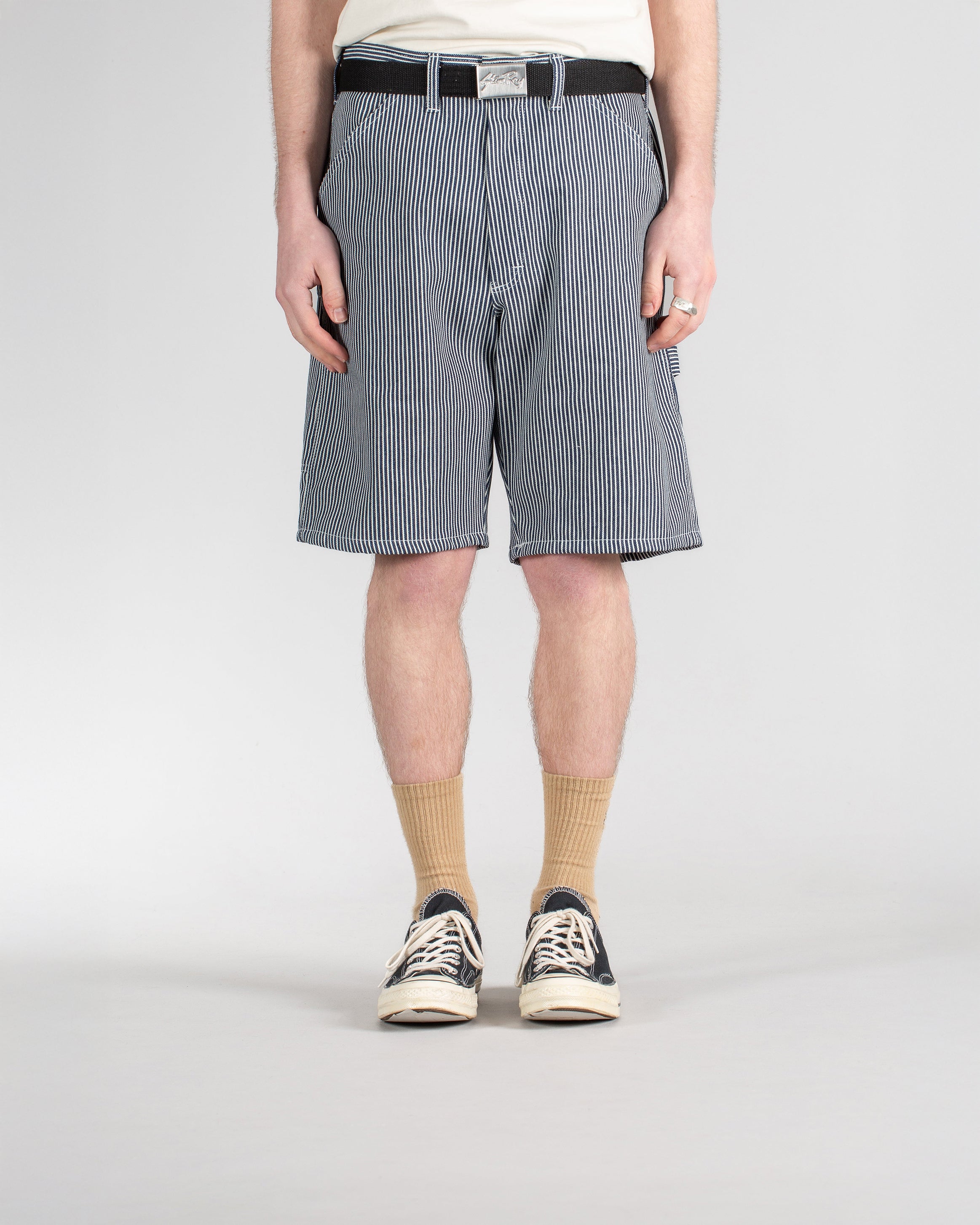 Stan ray painter shorts online