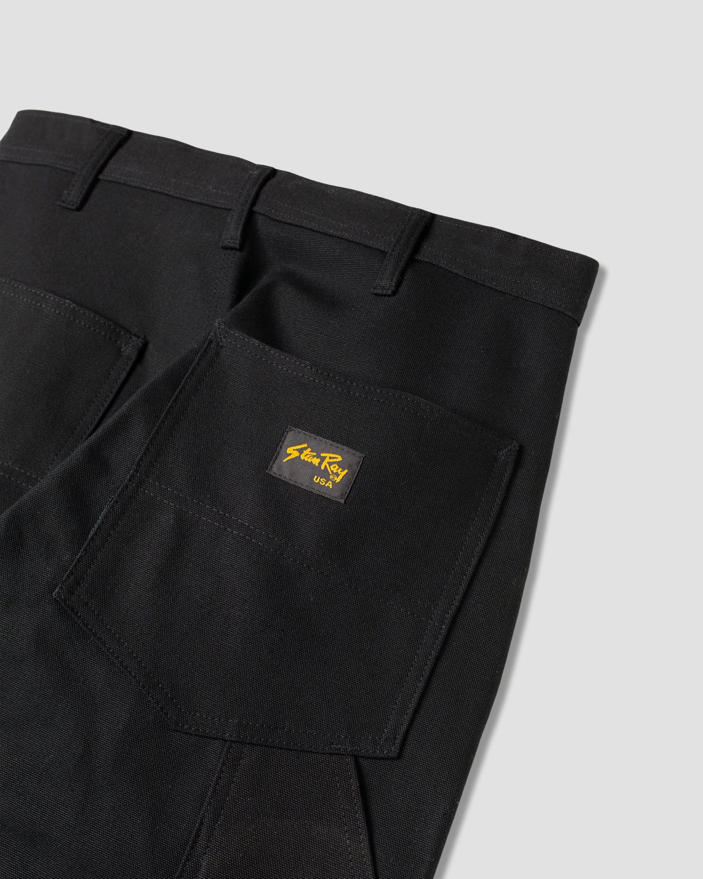 Double Knee Painter Pant (Earl's Black Duck)