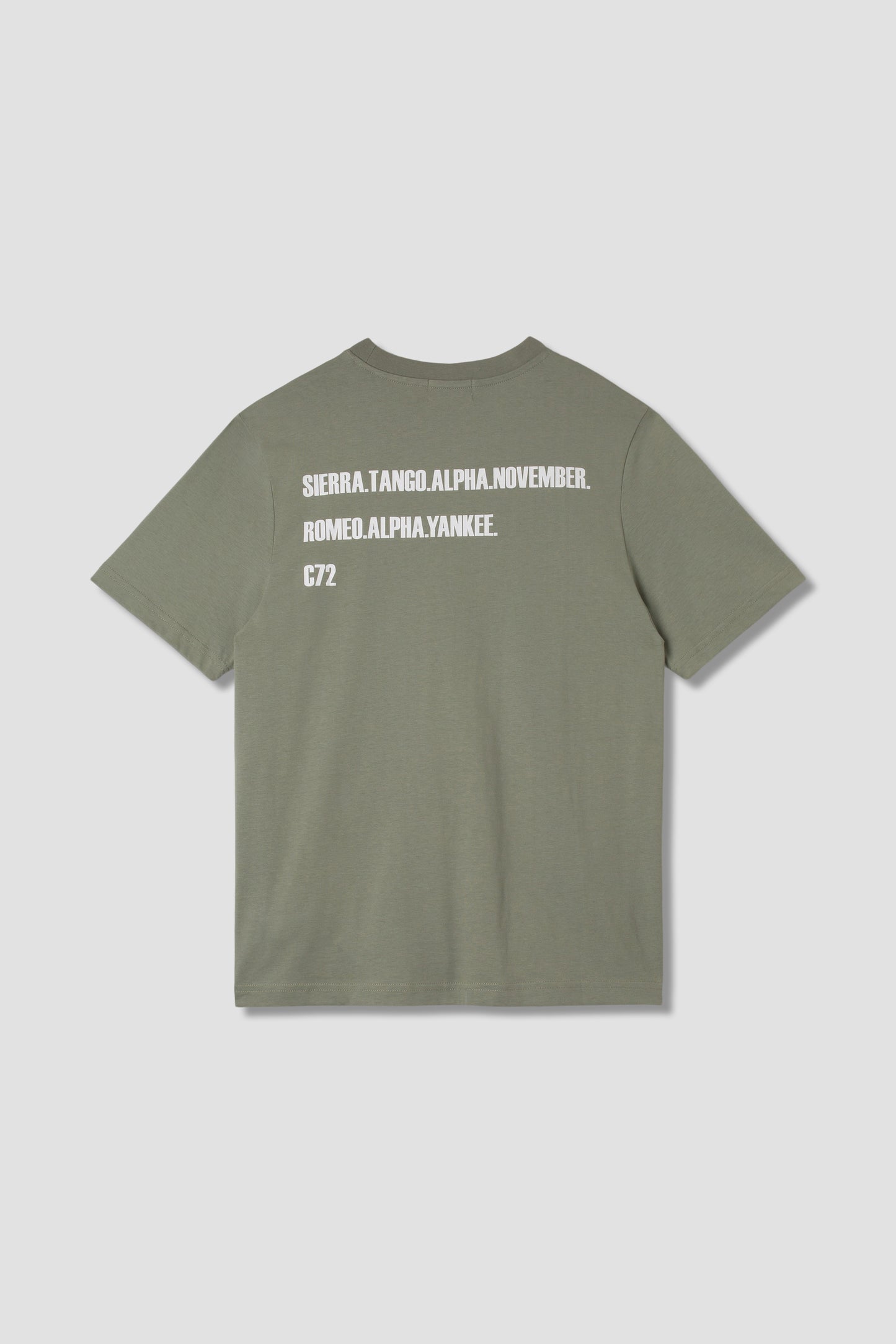 Expedition Tee (Sage)